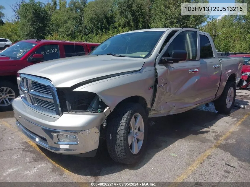 2009 Dodge Ram 1500 Slt/Sport/Trx VIN: 1D3HV13T29J513216 Lot: 40262214