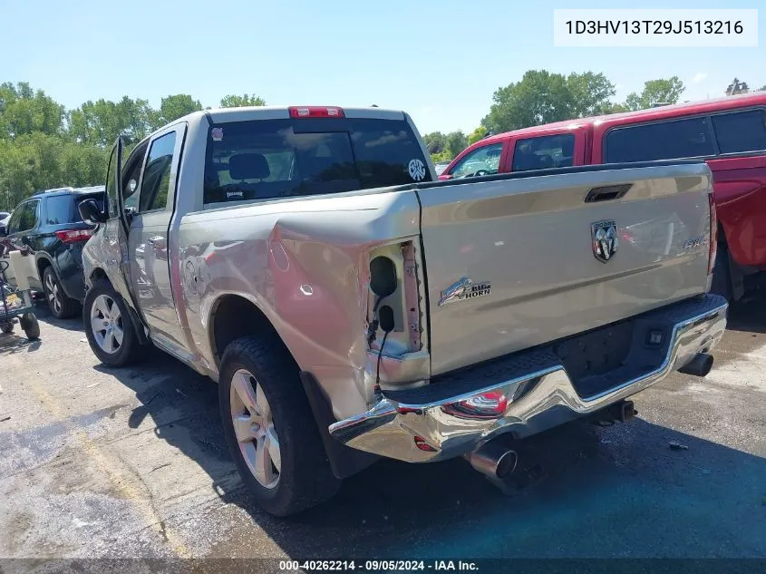 2009 Dodge Ram 1500 Slt/Sport/Trx VIN: 1D3HV13T29J513216 Lot: 40262214