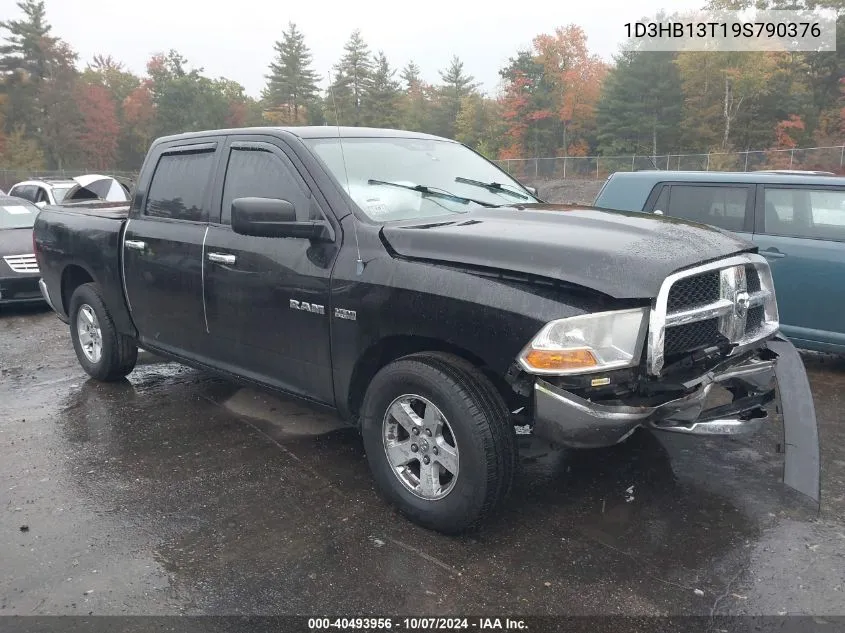 2009 Dodge Ram 1500 Slt/Sport/Trx VIN: 1D3HB13T19S790376 Lot: 40493956