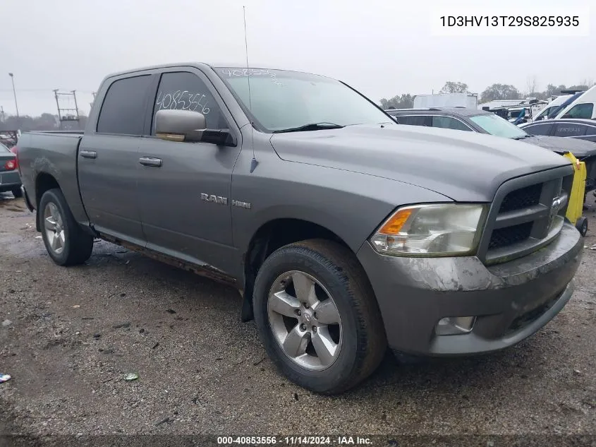 2009 Dodge Ram 1500 Slt/Sport VIN: 1D3HV13T29S825935 Lot: 40853556