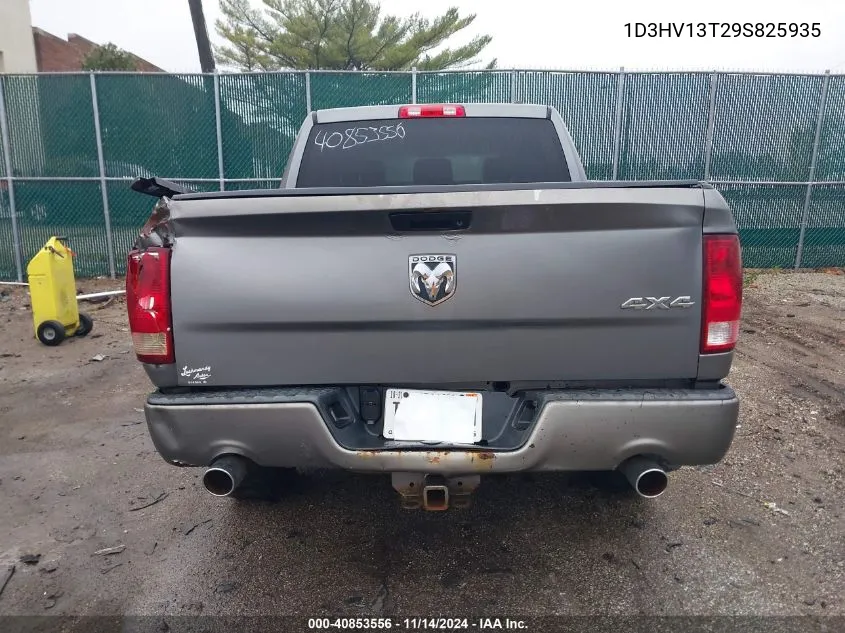 2009 Dodge Ram 1500 Slt/Sport VIN: 1D3HV13T29S825935 Lot: 40853556