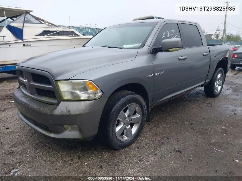 2009 Dodge Ram 1500 Slt/Sport VIN: 1D3HV13T29S825935 Lot: 40853556