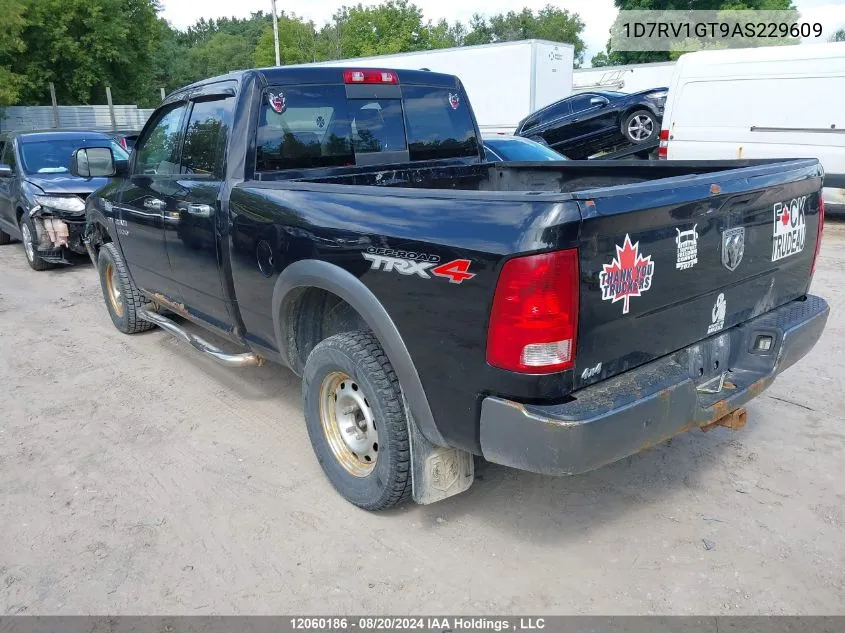 2010 Dodge Ram 1500 Slt/Sport/Trx VIN: 1D7RV1GT9AS229609 Lot: 12060186