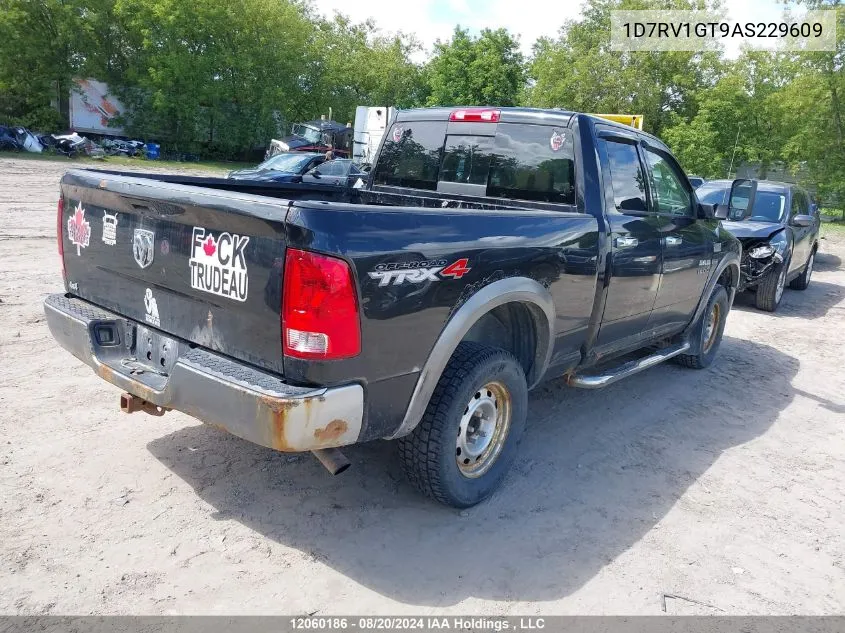 2010 Dodge Ram 1500 Slt/Sport/Trx VIN: 1D7RV1GT9AS229609 Lot: 12060186