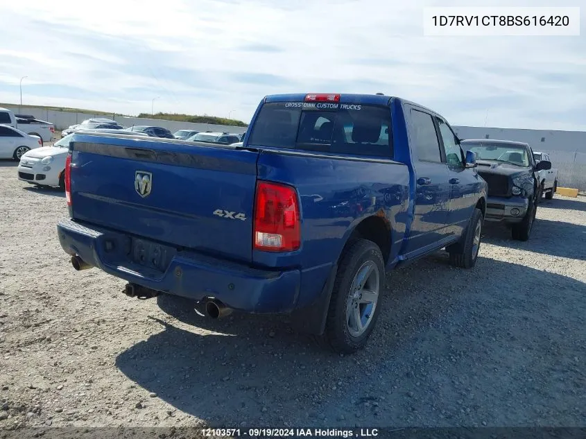 2011 Dodge Ram 1500 VIN: 1D7RV1CT8BS616420 Lot: 12103571