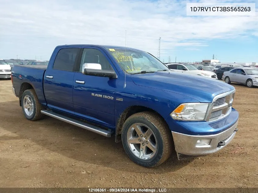 2011 Dodge Ram 1500 VIN: 1D7RV1CT3BS565263 Lot: 12106361