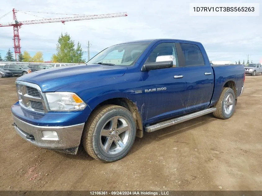 2011 Dodge Ram 1500 VIN: 1D7RV1CT3BS565263 Lot: 12106361