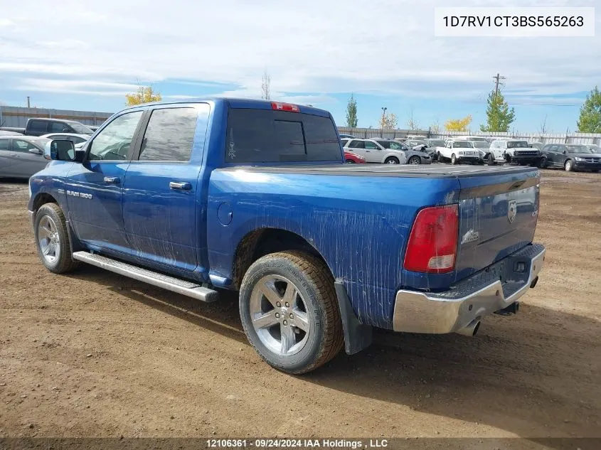 2011 Dodge Ram 1500 VIN: 1D7RV1CT3BS565263 Lot: 12106361