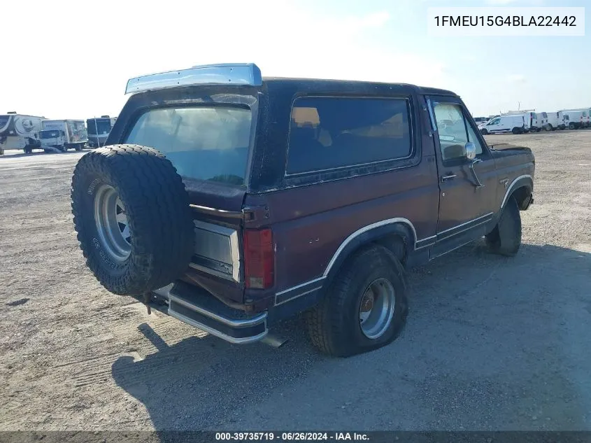 1981 Ford Bronco U100 VIN: 1FMEU15G4BLA22442 Lot: 39735719