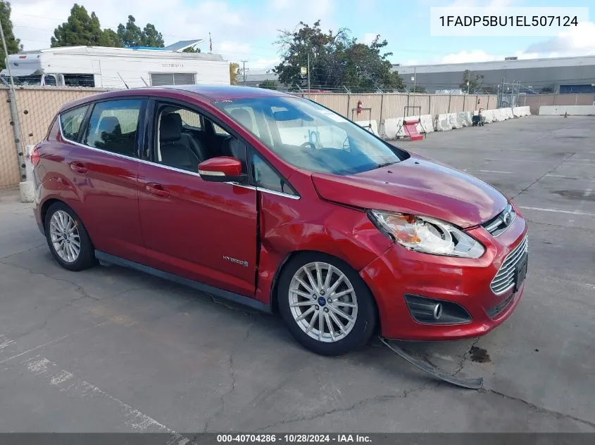 2014 Ford C-Max Hybrid Sel VIN: 1FADP5BU1EL507124 Lot: 40704286