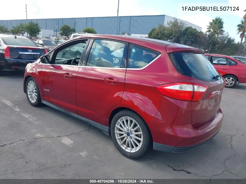 2014 Ford C-Max Hybrid Sel VIN: 1FADP5BU1EL507124 Lot: 40704286