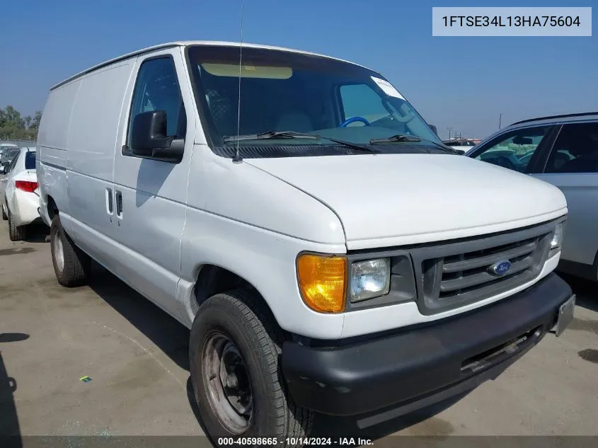 2003 Ford E-350 Super Duty Commercial/Recreational VIN: 1FTSE34L13HA75604 Lot: 40598665