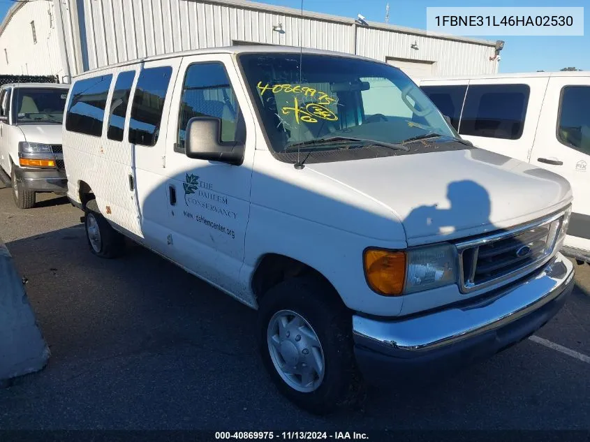 2006 Ford E-350 Super Duty Chateau/Xl/Xlt VIN: 1FBNE31L46HA02530 Lot: 40869975