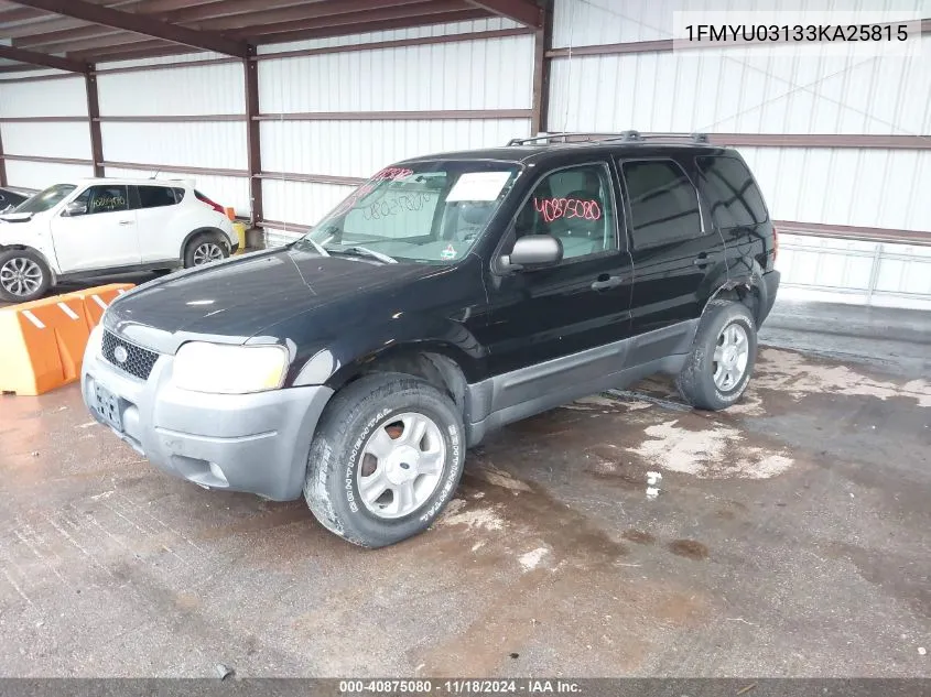 2003 Ford Escape Xlt VIN: 1FMYU03133KA25815 Lot: 40875080