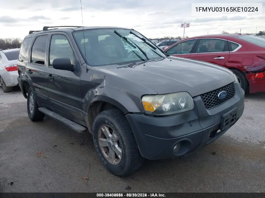 2005 Ford Escape Xlt VIN: 1FMYU03165KE10224 Lot: 39404656