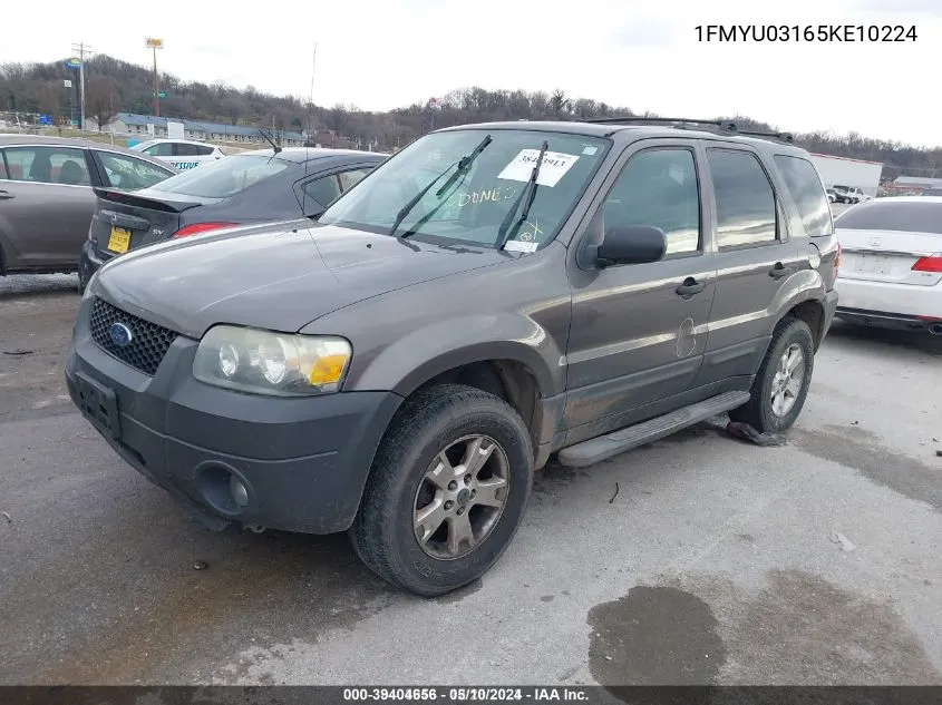 2005 Ford Escape Xlt VIN: 1FMYU03165KE10224 Lot: 39404656