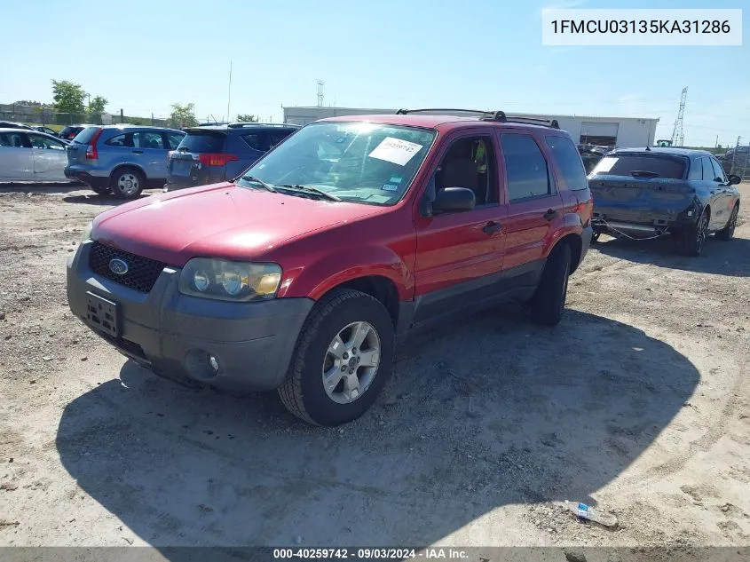 2005 Ford Escape Xlt VIN: 1FMCU03135KA31286 Lot: 40259742