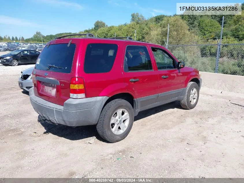 2005 Ford Escape Xlt VIN: 1FMCU03135KA31286 Lot: 40259742