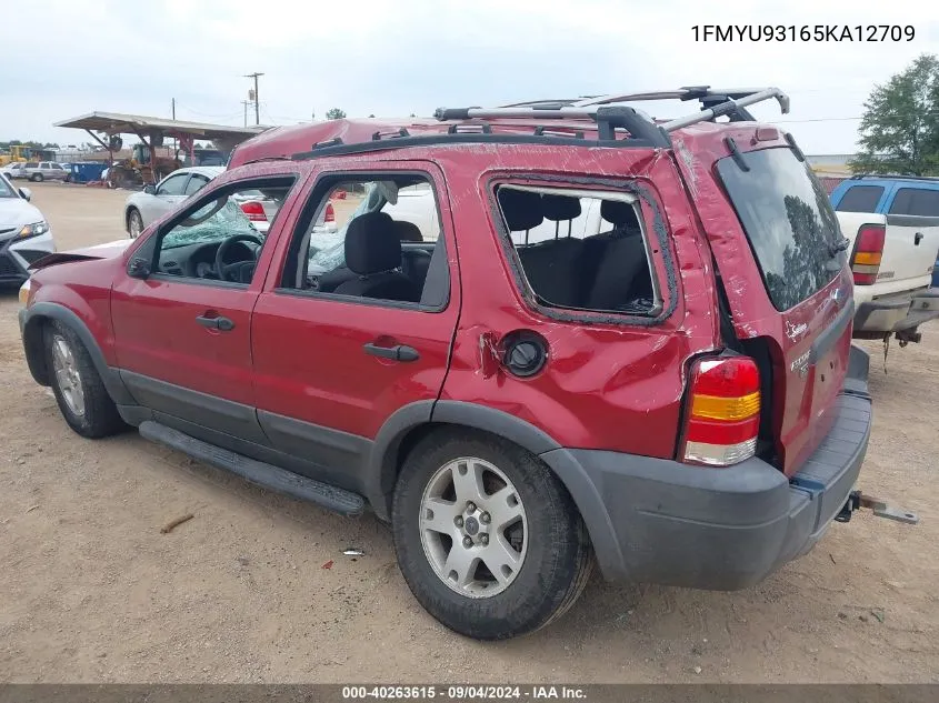 2005 Ford Escape Xlt VIN: 1FMYU93165KA12709 Lot: 40263615