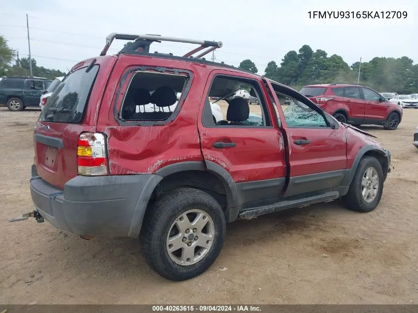 1FMYU93165KA12709 2005 Ford Escape Xlt