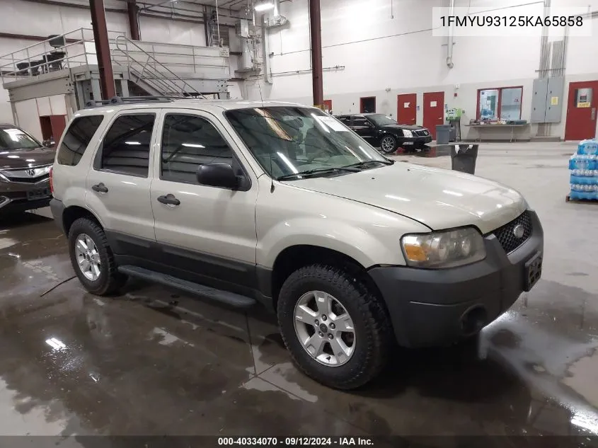 2005 Ford Escape Xlt VIN: 1FMYU93125KA65858 Lot: 40334070