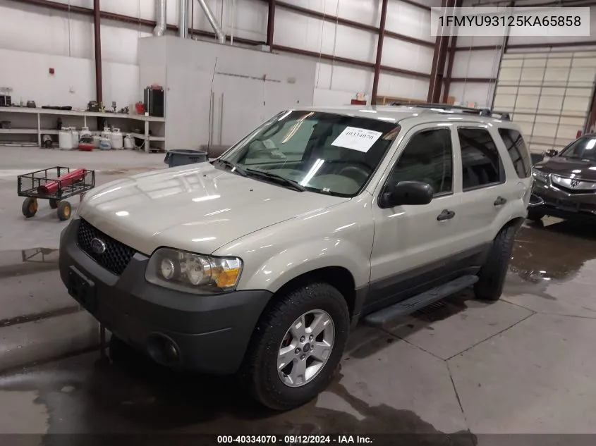 2005 Ford Escape Xlt VIN: 1FMYU93125KA65858 Lot: 40334070