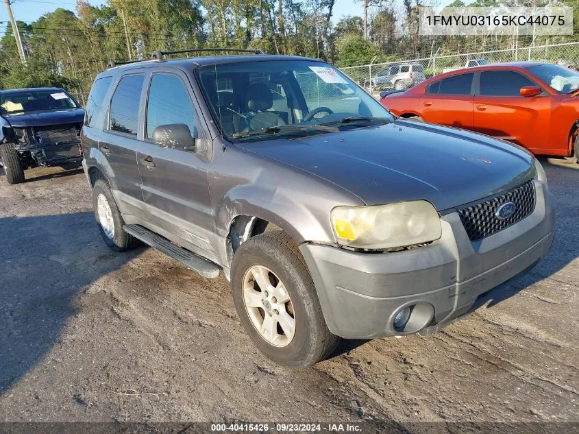 2005 Ford Escape Xlt VIN: 1FMYU03165KC44075 Lot: 40415426