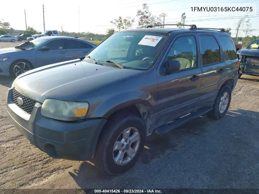 2005 Ford Escape Xlt VIN: 1FMYU03165KC44075 Lot: 40415426