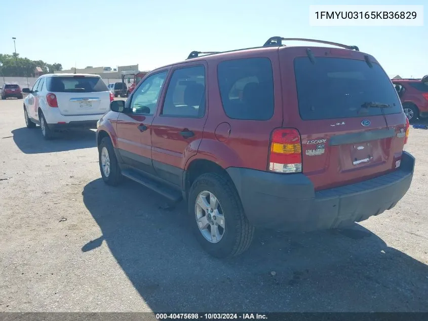 2005 Ford Escape Xlt VIN: 1FMYU03165KB36829 Lot: 40475698