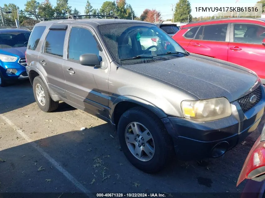 2005 Ford Escape Limited VIN: 1FMYU94175KB61516 Lot: 40671328