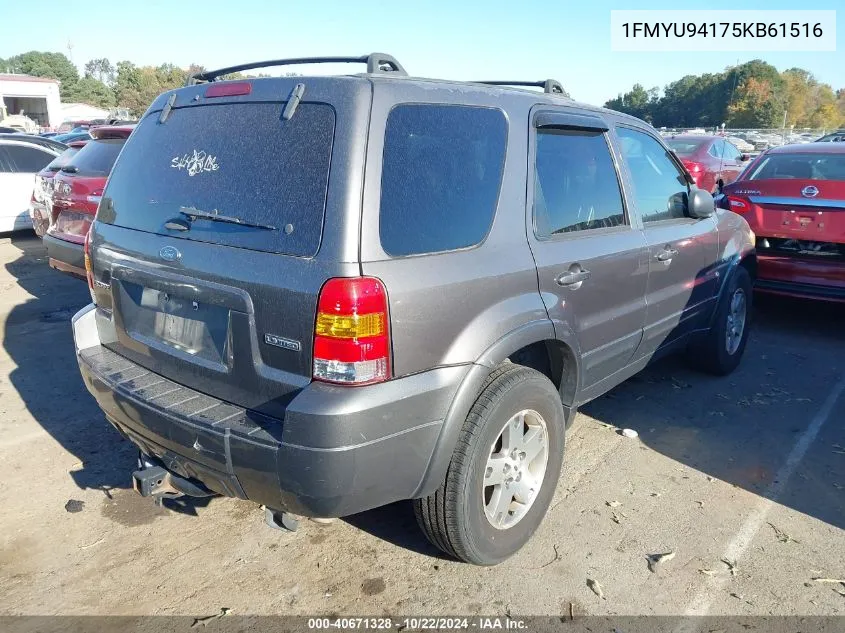 2005 Ford Escape Limited VIN: 1FMYU94175KB61516 Lot: 40671328