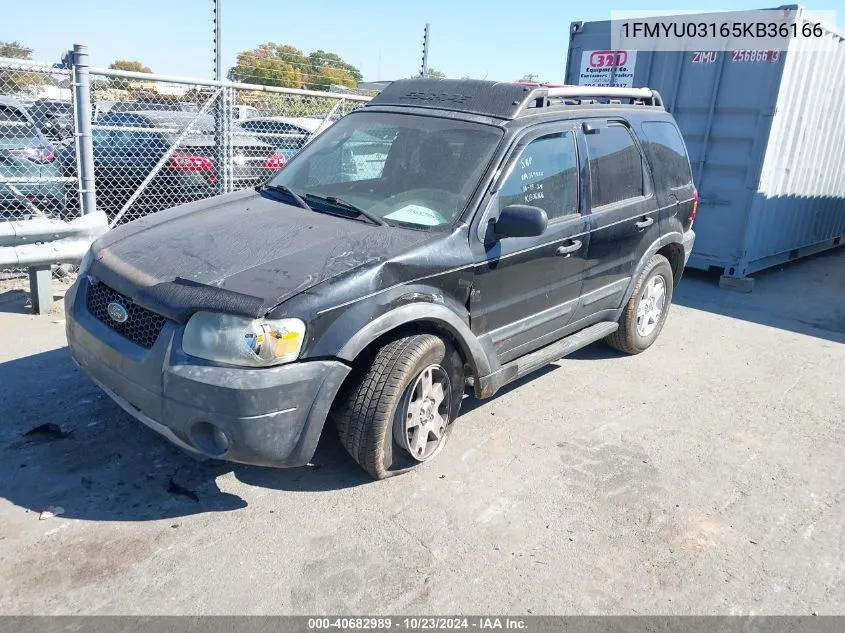 2005 Ford Escape Xlt VIN: 1FMYU03165KB36166 Lot: 40682989