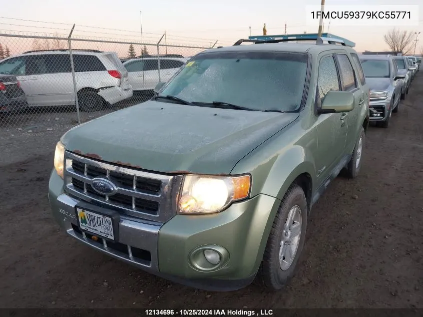 2009 Ford Escape Hybrid VIN: 1FMCU59379KC55771 Lot: 12134696