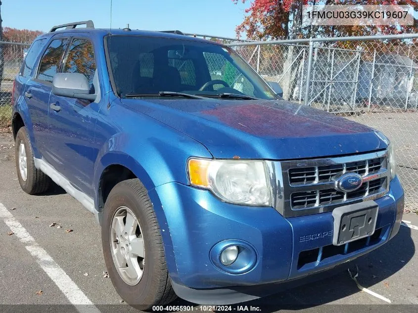 2009 Ford Escape Xlt VIN: 1FMCU03G39KC19607 Lot: 40665901