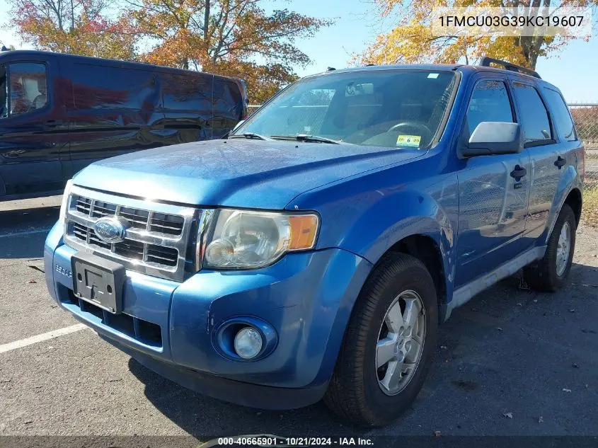 2009 Ford Escape Xlt VIN: 1FMCU03G39KC19607 Lot: 40665901