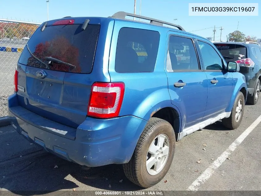 2009 Ford Escape Xlt VIN: 1FMCU03G39KC19607 Lot: 40665901