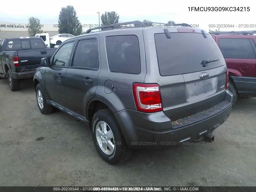 2009 Ford Escape Xlt VIN: 1FMCU93G09KC34215 Lot: 40704426