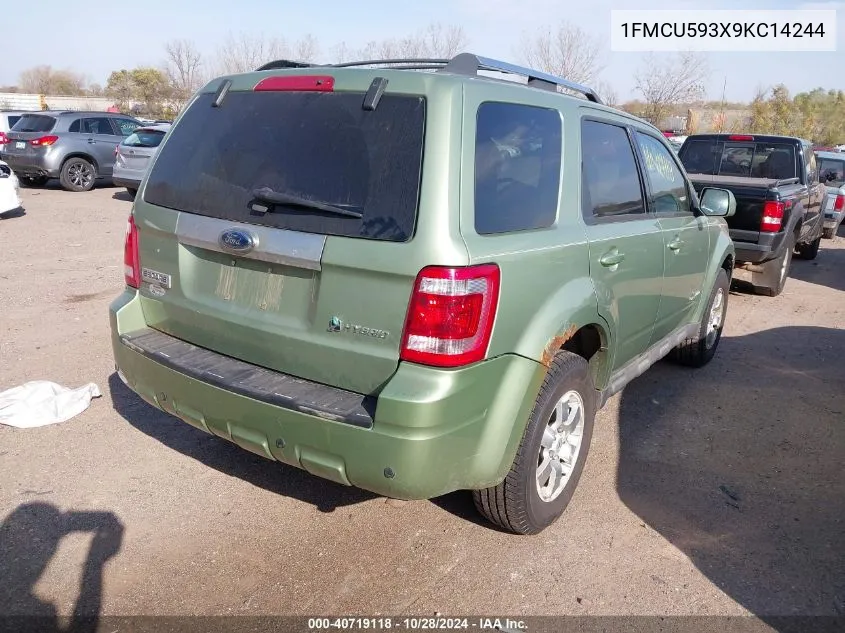 2009 Ford Escape Hybrid VIN: 1FMCU593X9KC14244 Lot: 40719118