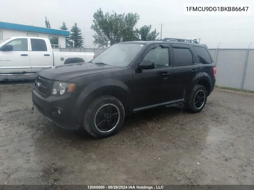 2011 Ford Escape Xlt VIN: 1FMCU9DG1BKB86647 Lot: 12085800