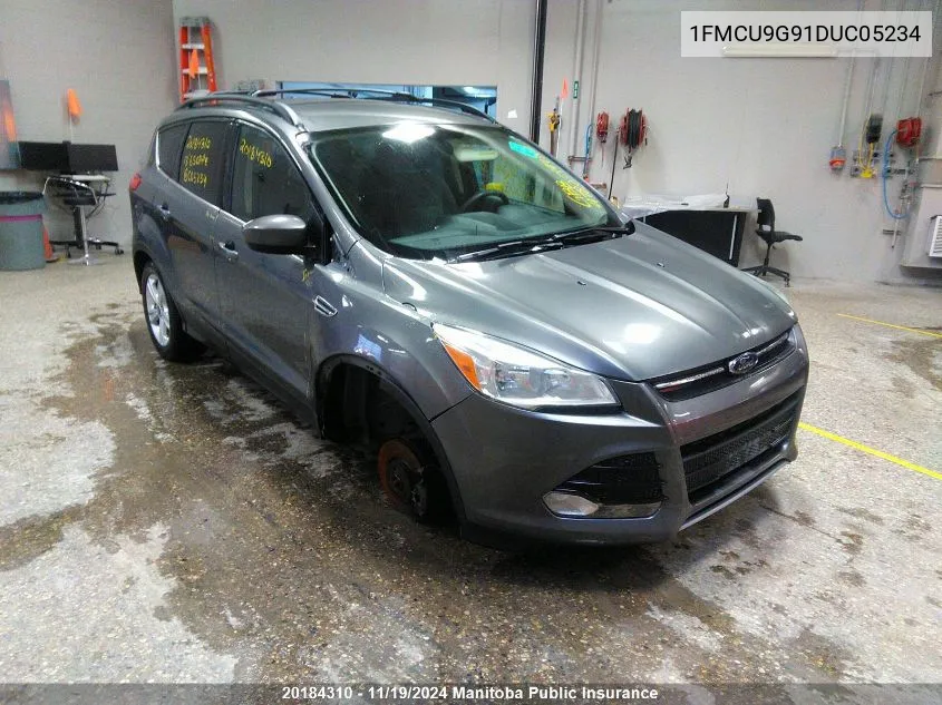 2013 Ford Escape Se VIN: 1FMCU9G91DUC05234 Lot: 20184310