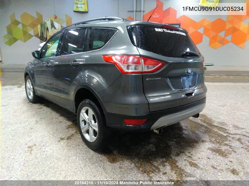 2013 Ford Escape Se VIN: 1FMCU9G91DUC05234 Lot: 20184310