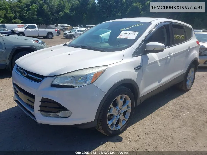 2013 Ford Escape Sel VIN: 1FMCU0HXXDUA75091 Lot: 39651962