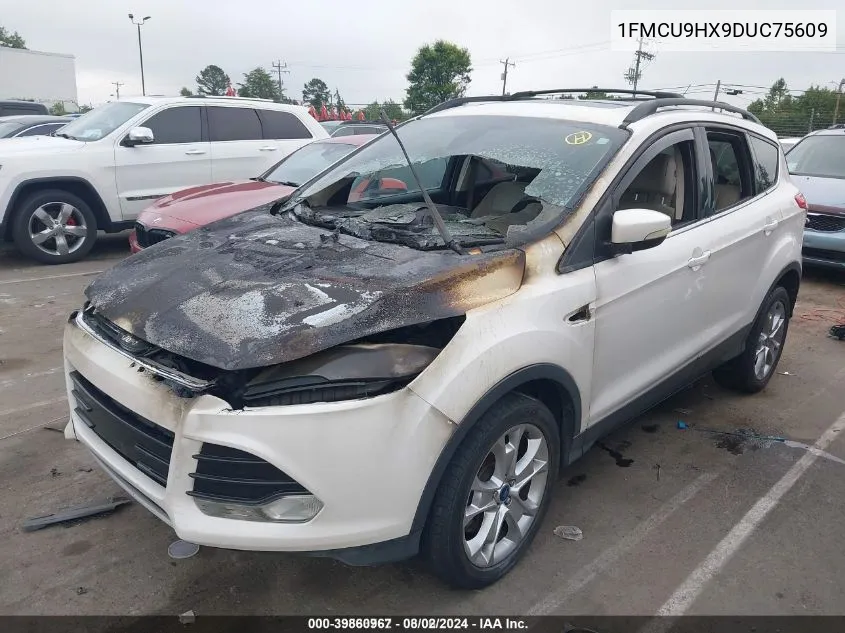 1FMCU9HX9DUC75609 2013 Ford Escape Sel