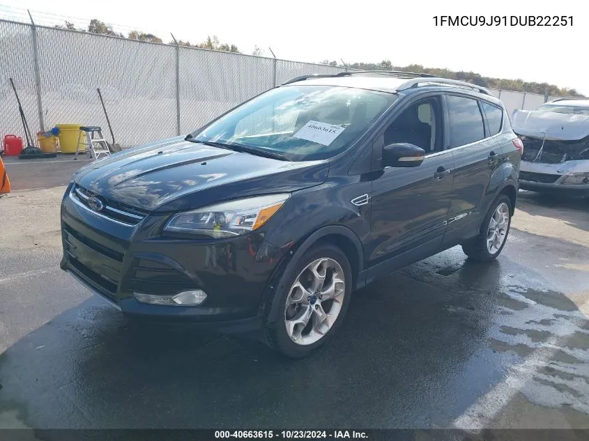 2013 Ford Escape Titanium VIN: 1FMCU9J91DUB22251 Lot: 40663615