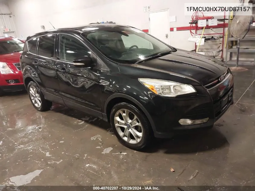 2013 Ford Escape Sel VIN: 1FMCU0HX7DUD87157 Lot: 40702207