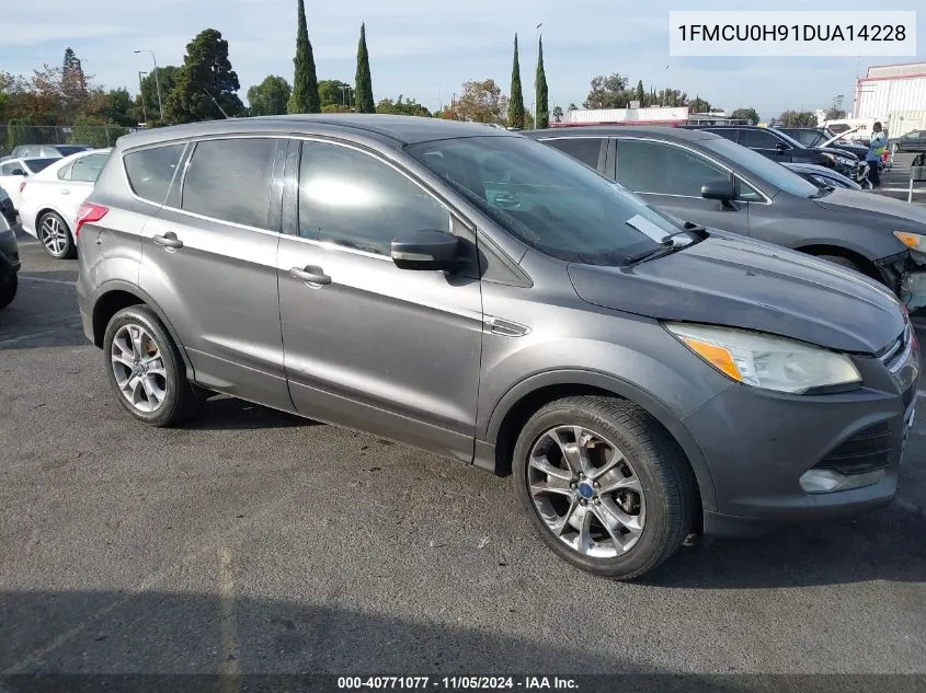 2013 Ford Escape Sel VIN: 1FMCU0H91DUA14228 Lot: 40771077