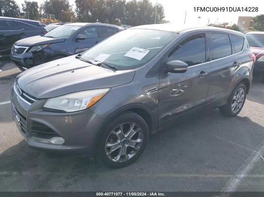 2013 Ford Escape Sel VIN: 1FMCU0H91DUA14228 Lot: 40771077