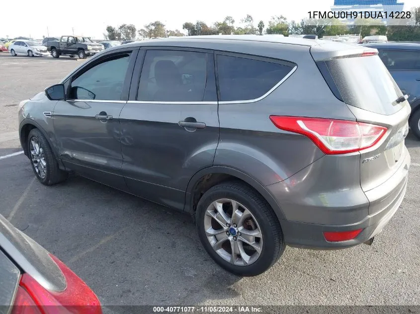 2013 Ford Escape Sel VIN: 1FMCU0H91DUA14228 Lot: 40771077