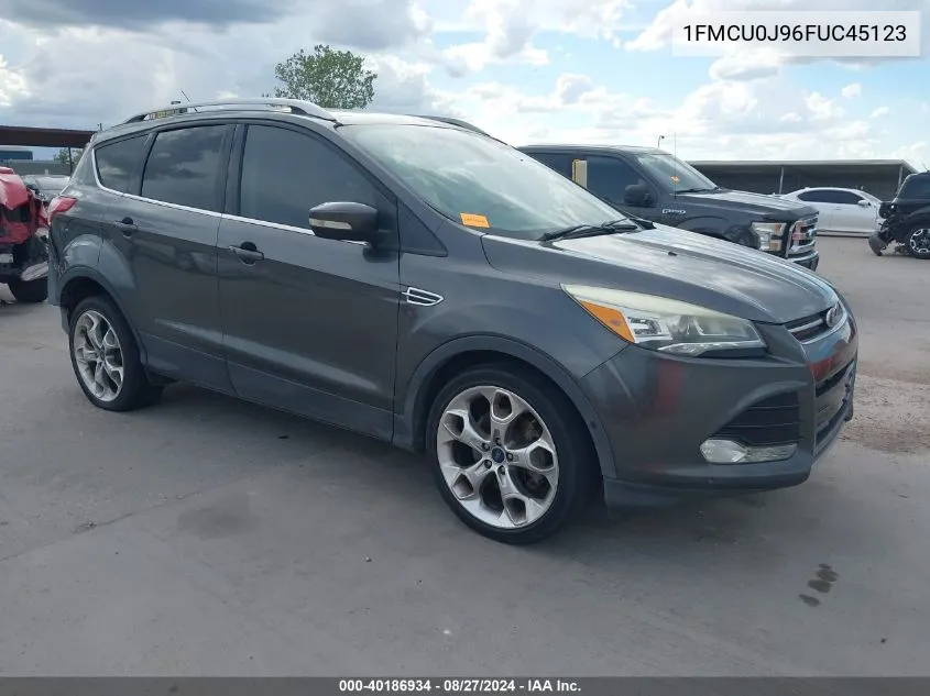 1FMCU0J96FUC45123 2015 Ford Escape Titanium