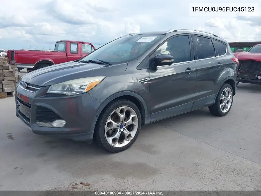 2015 Ford Escape Titanium VIN: 1FMCU0J96FUC45123 Lot: 40186934